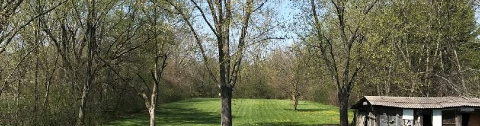 20818 Travers Avenue,CHICAGO HEIGHTS,Illinois 60411,5 Bedrooms Bedrooms,10 Rooms Rooms,2 BathroomsBathrooms,1-Story,20818 Travers Avenue,1001